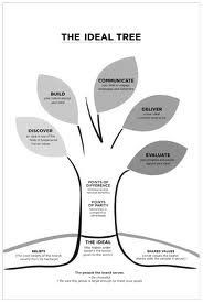 Grow Stengel's Ideal Tree resized 600