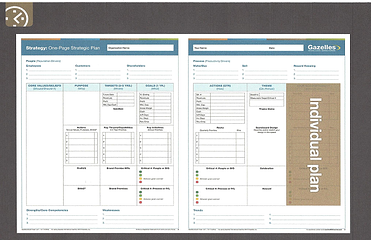 Individual Plan One Page Strategic Plan (IP) resized 600