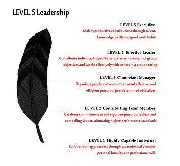 Level one  Five Leadership resized 600