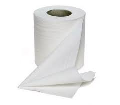 toilet paper roll resized 600