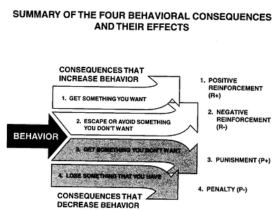 behavioral summary resized 600