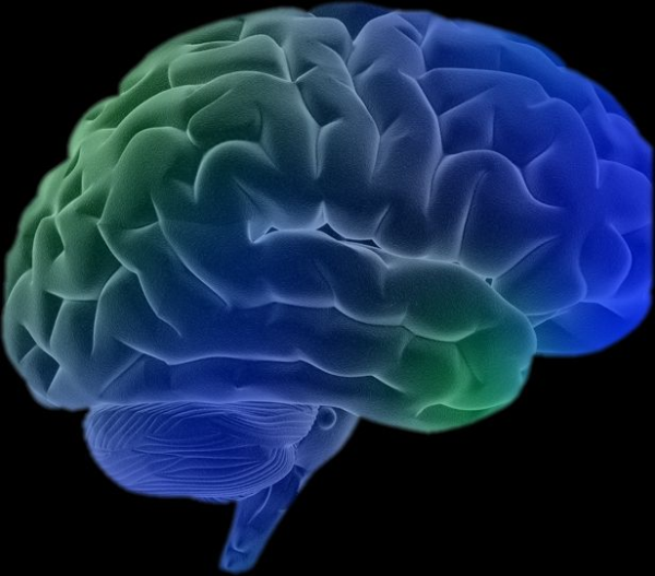 Your Blindside – The Value of Collective Intelligence