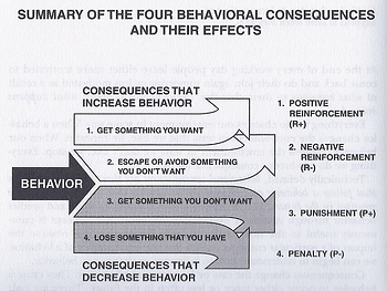 summary_of_the_4_behavioral_consequences__their_effects-resized-600-1
