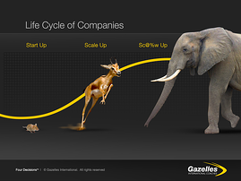 Life Cycle of Companies resized 600