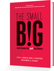 the small big book smaller resized 600