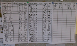 Doug's Leukemia Blood Metrics 4 01 12 resized 600