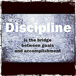 Discipline Bridge Between Goal 