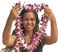 482720285 lei greeting xlarge resized 600