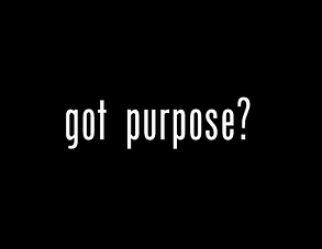 purpose resized 600