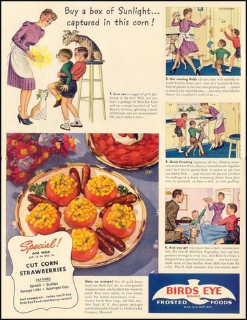 Birdseye--retro-food-retro-ads