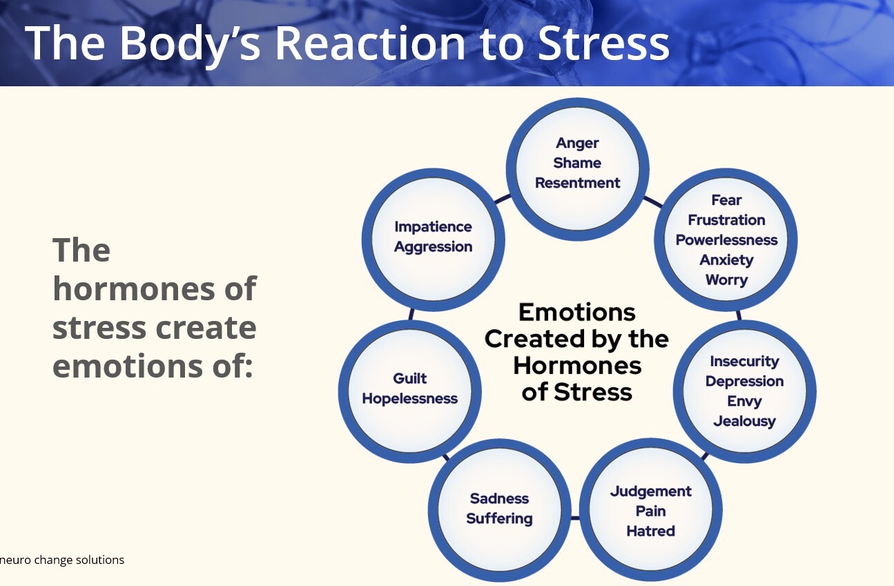 Bodys Reaction to Stress -Hormones of Stress Create Emotions of Anger...