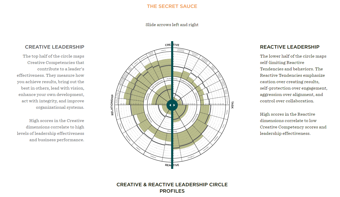 CREATIVE & REACTIVE LEADERSHIP CIRCLE PROFILES
