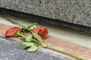 Commemorative symbols of sacrifice Pair of long-stem red roses at the base of a military memorial in Wheaton, Illinois, USA