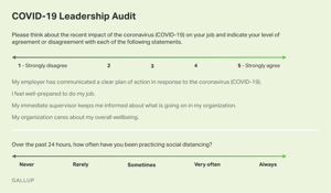 Gallup COVID 19 Audit