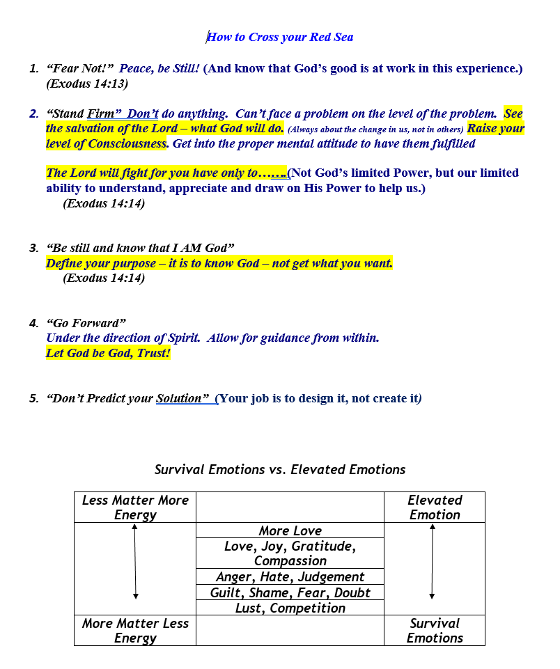 How to Cross Your Red Sea (Elevated vs Survial Emotions)