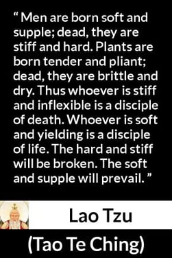 Lao-Tzu-quote-about-hardness-from-Tao-Te-Ching-1b10133s