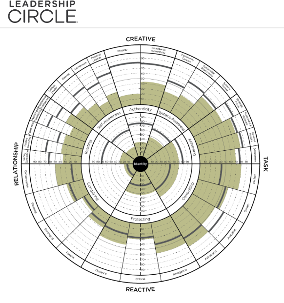 Leadership Circle Assessment