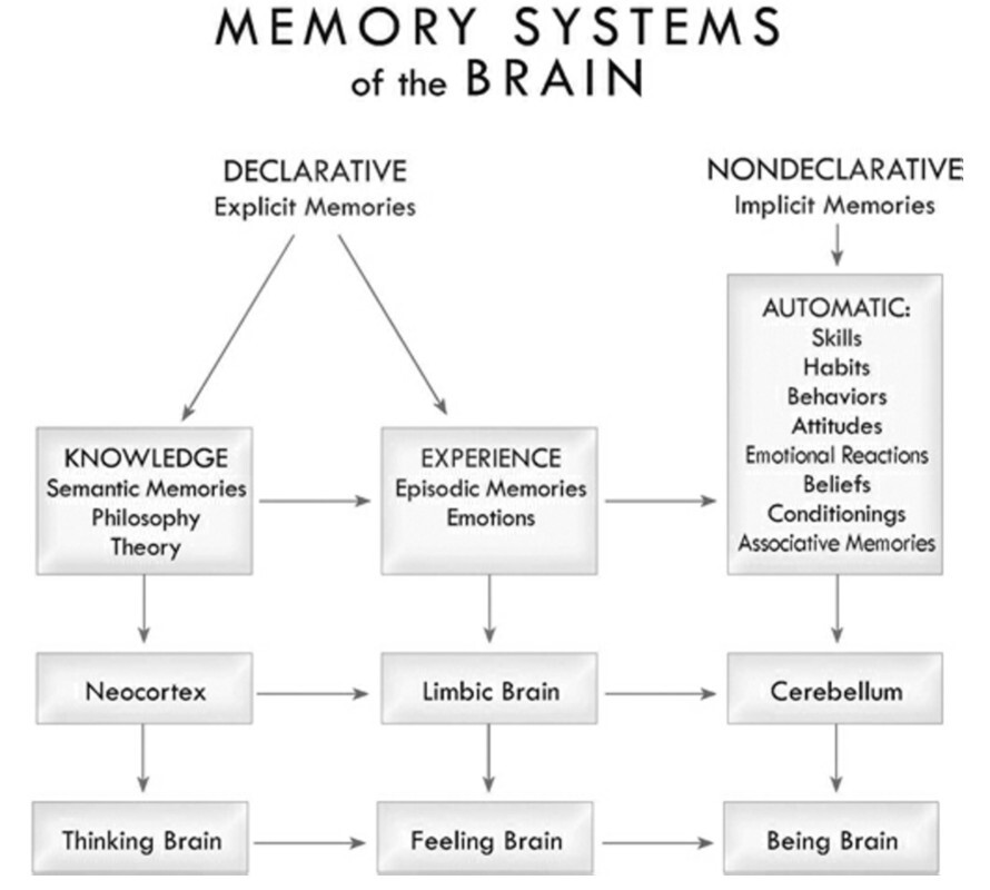 Memory Systems of the Brain - Breaking the Habit of Being Yourself - Figure 6B(1). Declarative and nondeclarative memories.