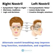 Right & Left Nostrils Breath