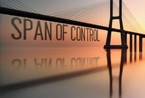 Span of Control Bridge