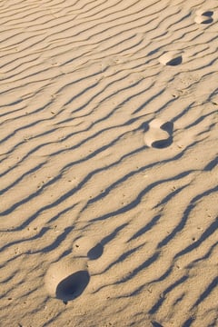 Four human footprints in rippled sand, all heading toward you, near sunset