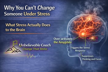 The impact of stress on the brain 4-13-26
