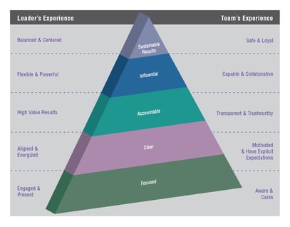 The Leadership experience. Experienced team