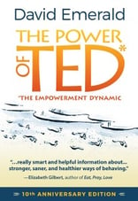 David Emerald Womeldorff The Power of TED.jpg