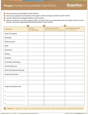 Function_Accountability_Chart_FACe_IP