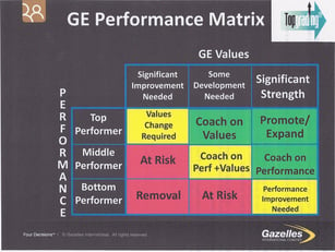 GE Performance Matrix.jpg