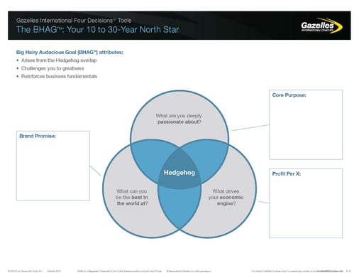 GI_4DTStrategy_BHAG_v3.1_Form.jpg