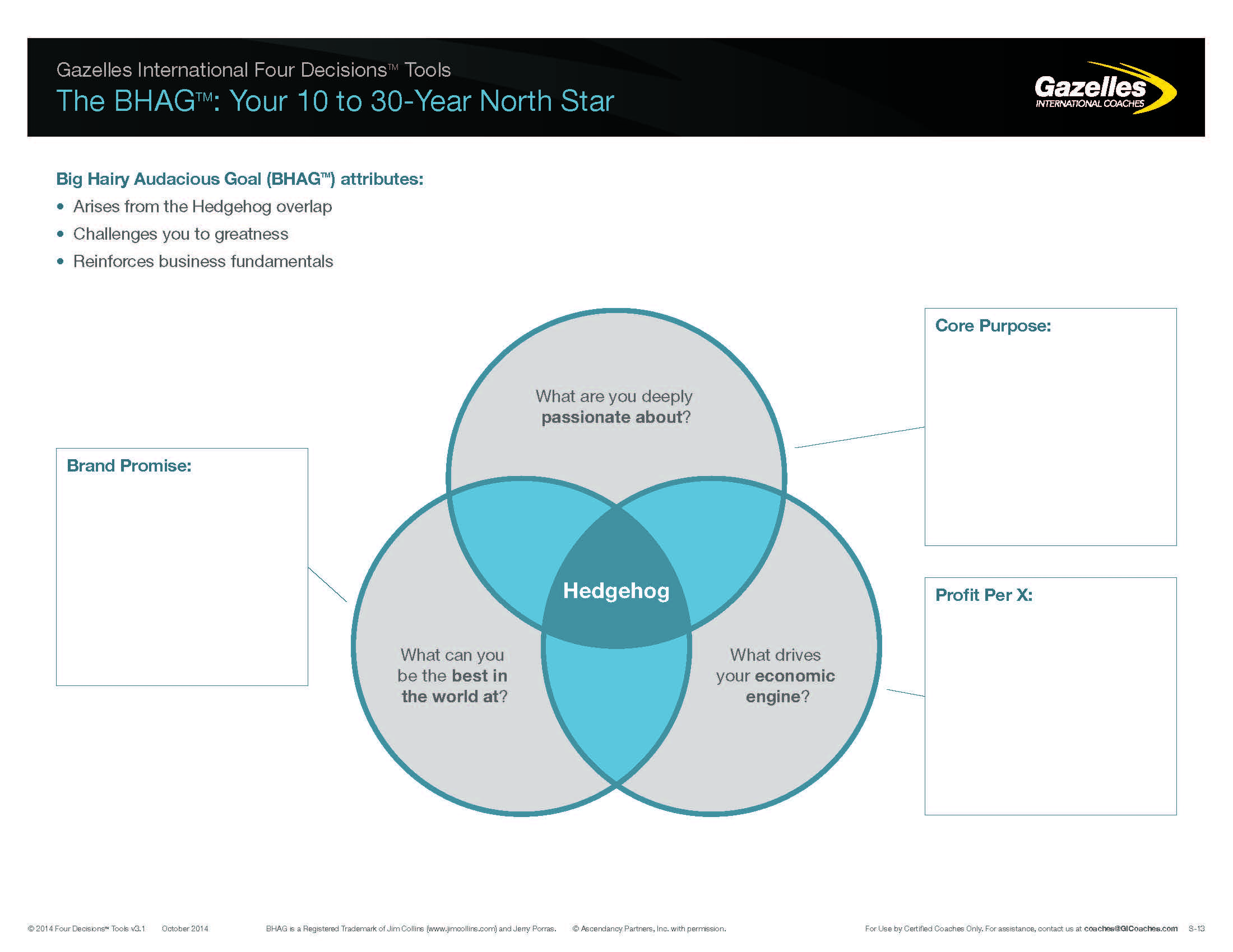 Hedgehog_GI_4DTStrategy_BHAG_v3.1_Form