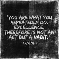 aristotle-quote-habits